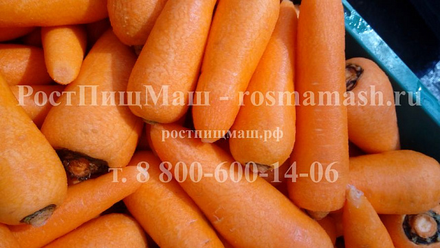 чистка моркови на машине GB